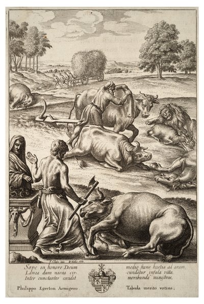 Cattle Plague. State 2 by Wenceslaus Hollar
